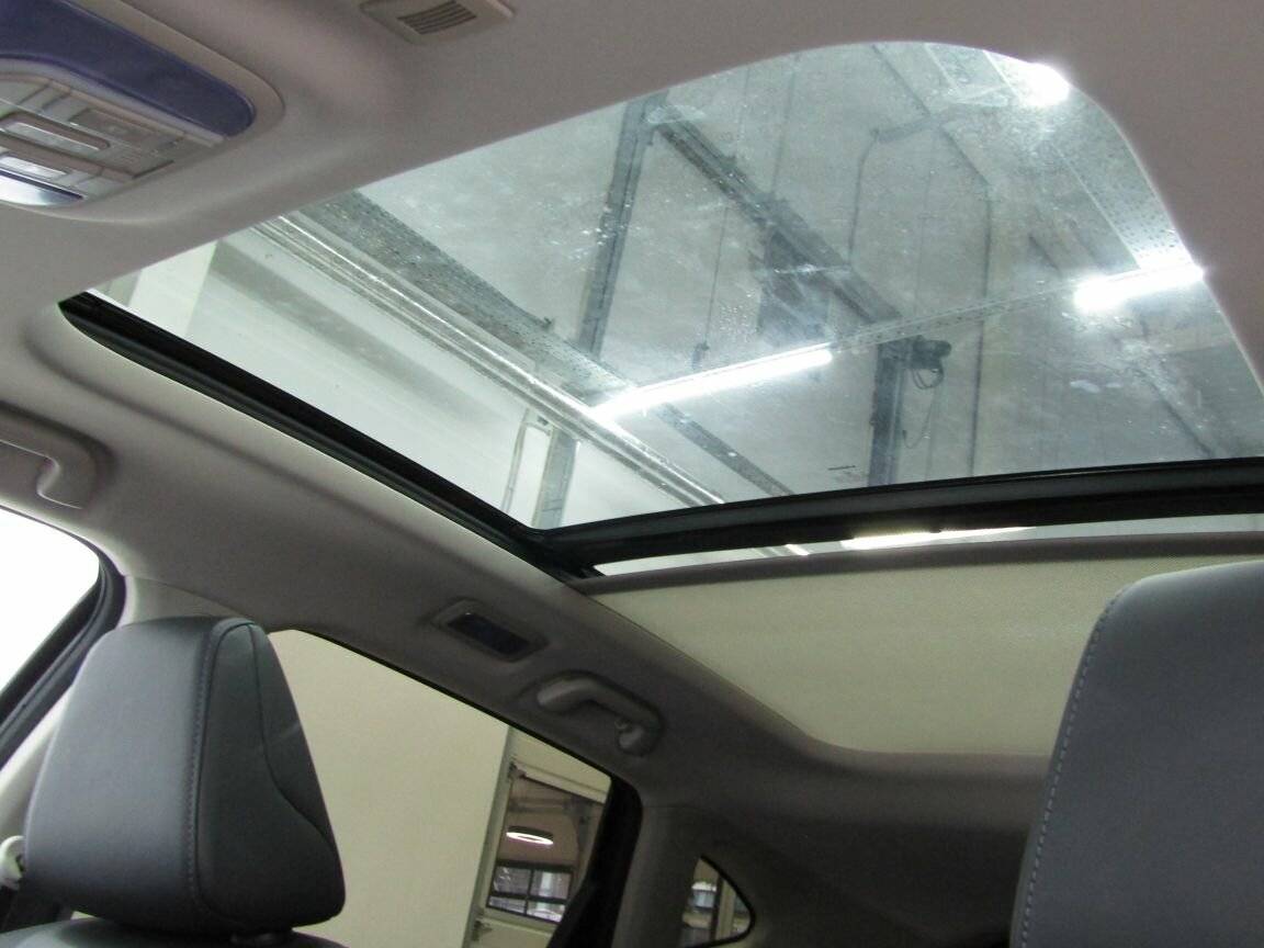 Haval F7, 2021 Фото №20